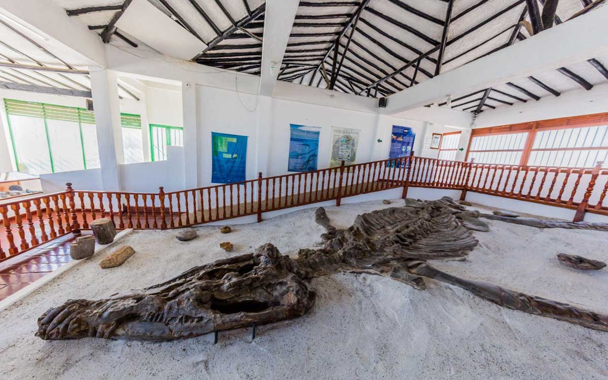 Fossil